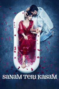 Download Sanam Teri Kasam (2016) BluRay Hindi Movie 480p, 720p & 1080p ESub