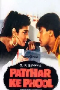 Download Patthar Ke Phool (1991) AMZN WEB-DL Hindi Movie (DD 2.0) 480p & 720p & 1080p ESub