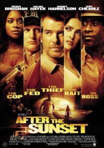 Download After the Sunset (2004) BluRay Dual Audio [Hindi (DD 2.0) & English] 480p & 720p & 1080p ESub