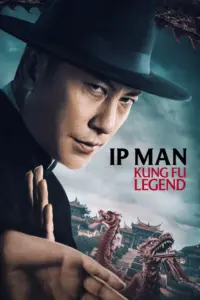 Download Ip Man: Kung Fu Legend (2026) AMZN WEB-DL Dual Audio [Hindi (DD 2.0) & Chinese] 480p & 720p & 1080p ESub
